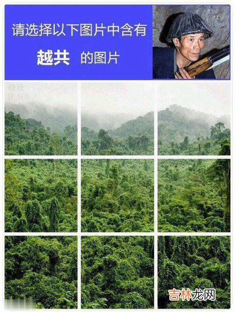 当草丛说起了越南语是什么梗