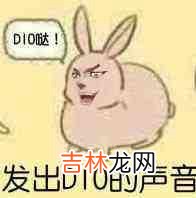 其实是我dio哒！是什么梗