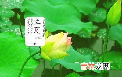 2020鼠年5月5日立夏出生的人好吗？立夏吃什么食物？