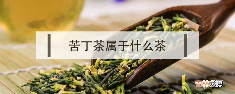 苦丁茶属于什么茶