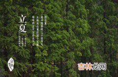 立夏怀孕好吗？2020立夏怀孕预产期什么时候命好吗？