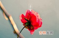 生肖属鸡出生在立夏节气是不是命很不好？立夏什么意思？