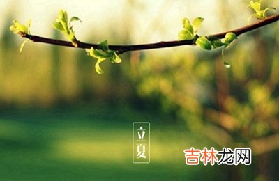 2020庚子鼠年立夏节气卯时出生的人是什么命？