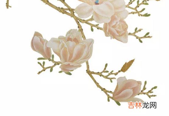 2020年4月25日四月初三生的男孩命运好吗，起什么名字高分
