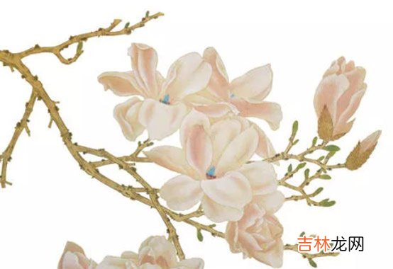 2020年4月25日四月初三生的男孩命运好吗，起什么名字高分
