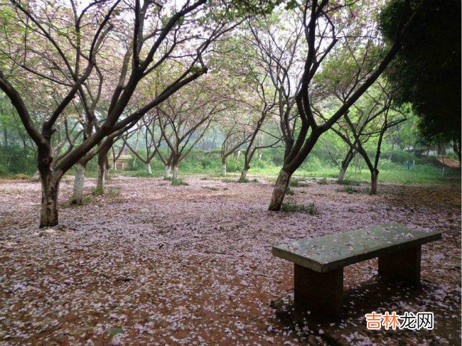 2018年湖南科技大学世界排名、中国排名、专业排名
