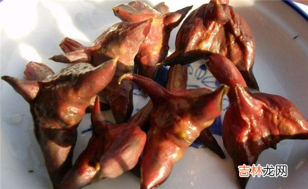 野生菱角怎么剥壳 四角菱角怎么剥壳