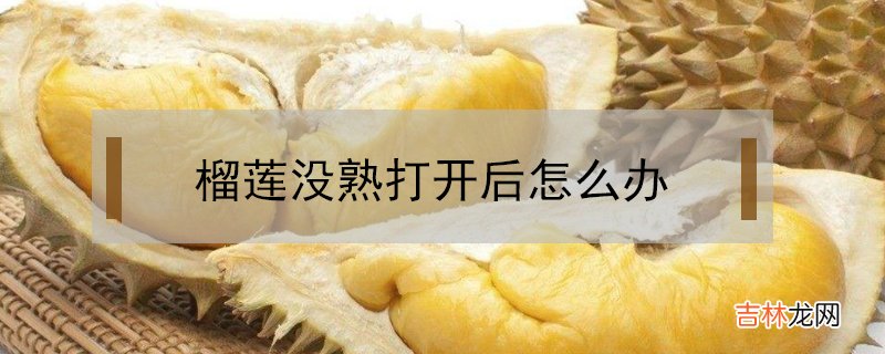 榴莲没熟打开后怎么办？