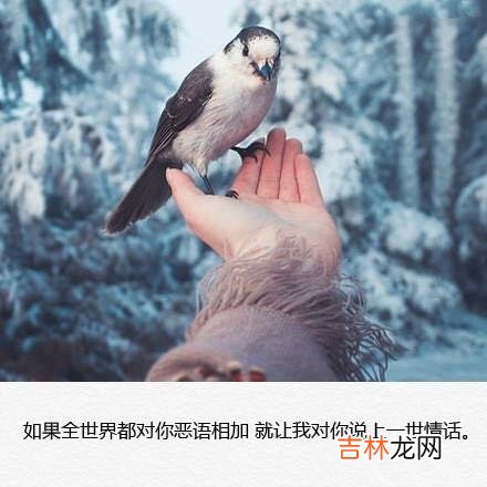 晚安心语情话 晚安心语朋友圈