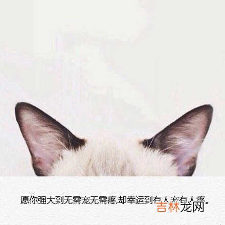 晚安心语情话 晚安心语朋友圈