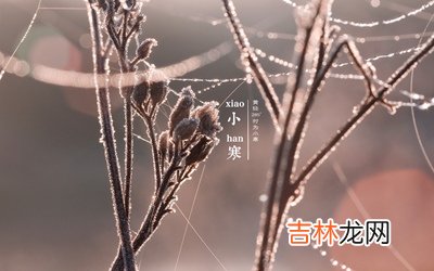 2020年十一月二十三小寒后一天出生的女孩怎么起名？
