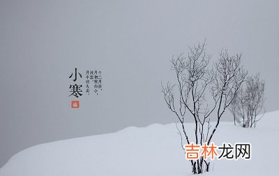 2020年十一月二十三小寒后一天出生的女孩怎么起名？