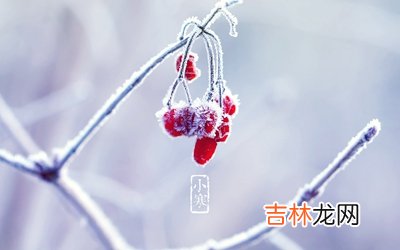2020年小寒前一天十一月二十一日出生的男孩如何起名？