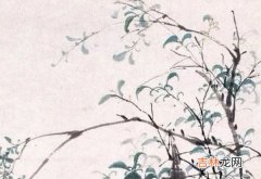 女宝宝取名：2020年10月20号出生的女孩取什么名字高分