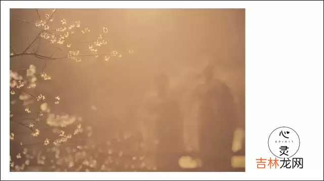 本来无一物何处惹尘埃什么意思 本来无一物何处惹尘埃完整版