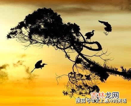 夕阳无限好 夕阳无限好诗句
