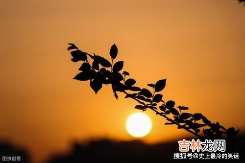 夕阳无限好 夕阳无限好诗句