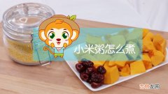 小米粥怎么煮