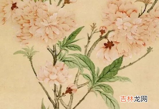 2020年11月6号出生的男孩起什么名字有涵义,五行属什么
