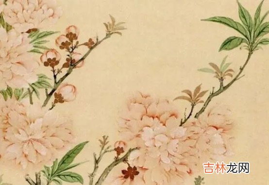 2020年11月6号出生的男孩起什么名字有涵义,五行属什么