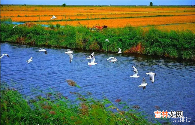 盘锦十大景点排行榜 盘锦一日游景点大全