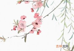 2020金鼠年11月20号出生的男孩起什么名字有涵义，五行属什么