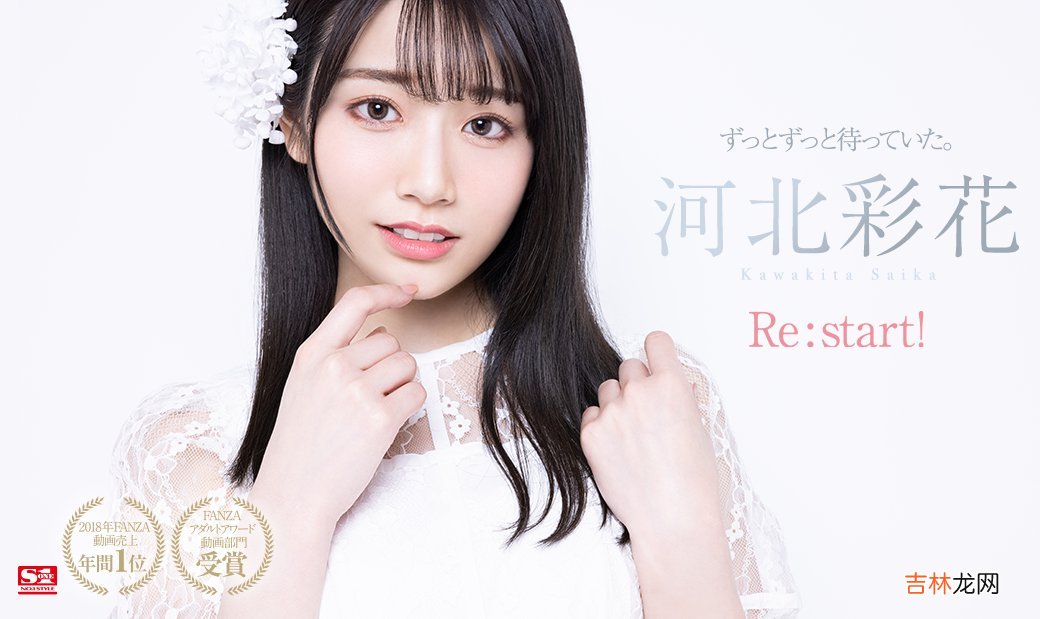 河北彩花是什么梗