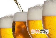 固体啤酒是什么酒？