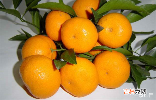 阳春十大特产 阳春特产有哪些