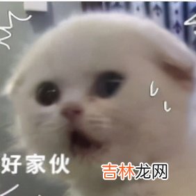 卫生纸品牌测评 卫生纸品牌加盟代理