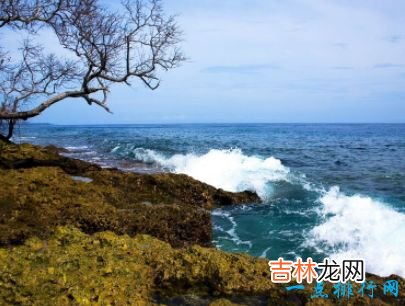 十大网费最贵的国家 网费每个月近万元人民币