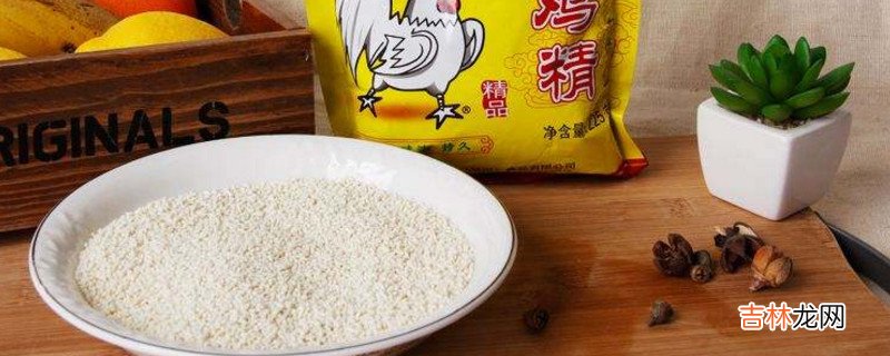 鸡精能代替味精吗
