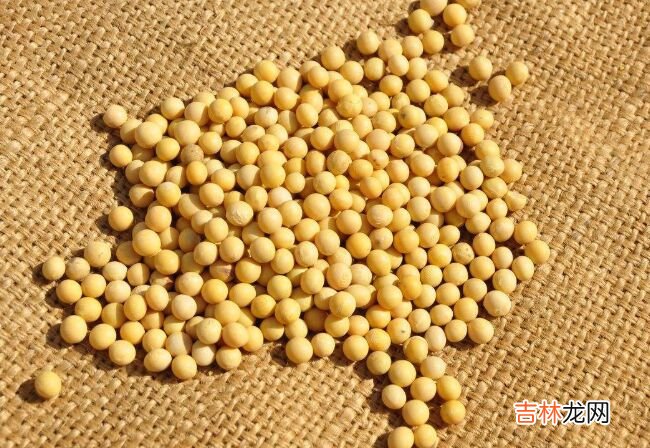 对抗疲劳的十大最佳食物 让你一整天都精神满满!