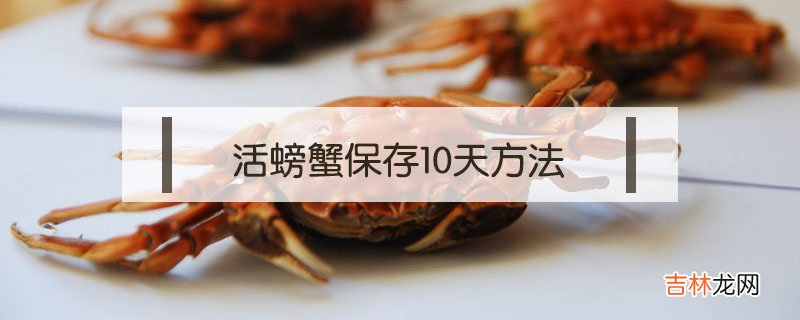 活螃蟹保存10天方法