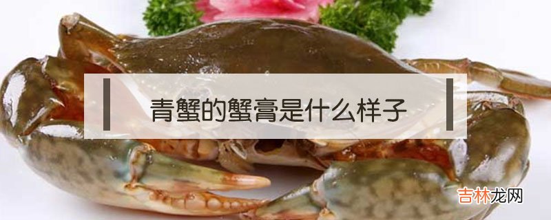 青蟹的蟹膏是什么样子?
