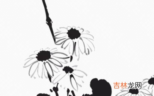 女孩取名：2020年11月1号出生的女孩参考四书五经取名字