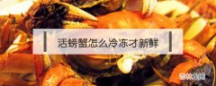 活螃蟹怎么冷冻才新鲜