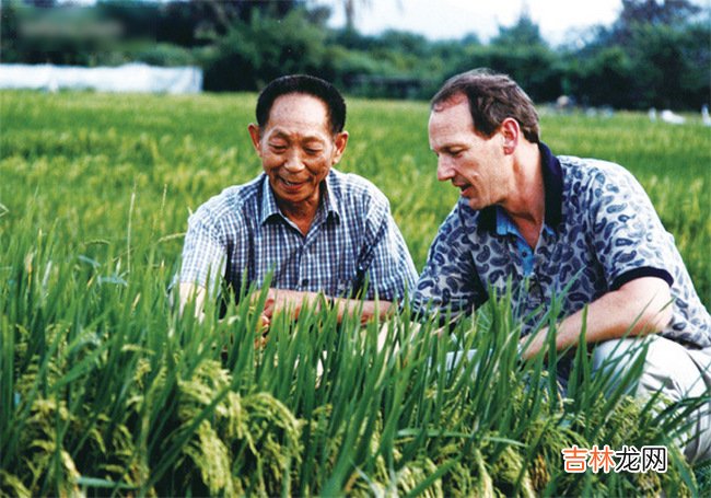 袁隆平身价多少亿 袁隆平身价2018