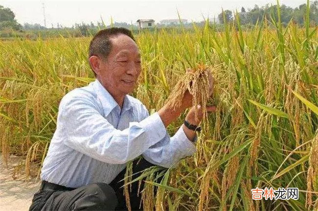 袁隆平身价多少亿 袁隆平身价2018