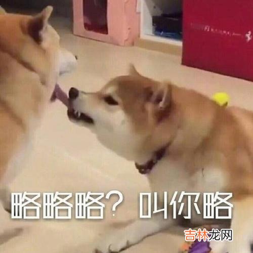 笑yue了是什么梗
