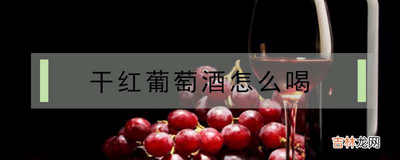 干红葡萄酒怎么喝