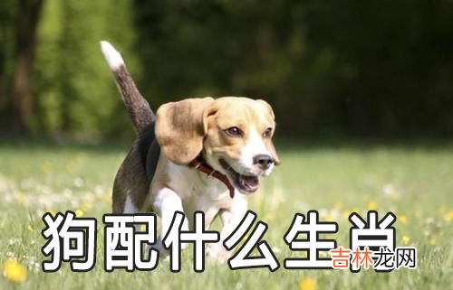 属狗配什么生肖最好 生肖狗和什么属相配