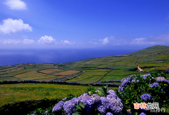 世界十大最贵私人岛屿 夏威夷拉奈岛价值6亿美元