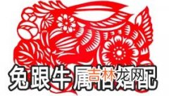 兔跟牛属相婚配如何 生肖牛和生肖兔能结婚吗