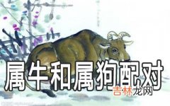 属牛的和属狗的属相相冲吗