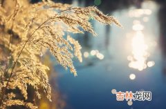 阆中算命_花心男的八字有何特征