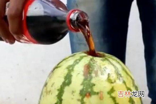 可乐和西瓜为什么不能一起吃吗
