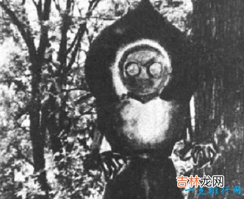 十大神秘生物 被未知笼罩的迷之生物