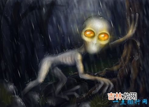 十大神秘生物 被未知笼罩的迷之生物