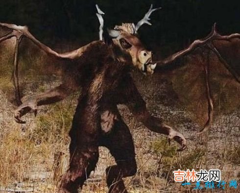 十大神秘生物 被未知笼罩的迷之生物